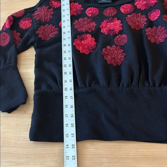 Anthropologie MAEVE Floral Embroidered Black/ Reds Sweatshirt Size Small - Picture 8 of 8
